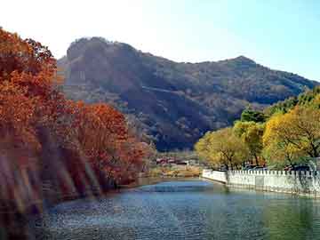 新澳天天开奖资料大全旅游团，妃子很忙